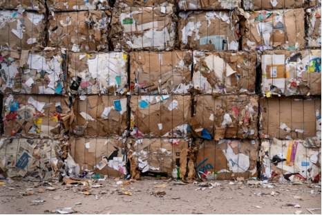 貓先生互聯(lián)網(wǎng)廢品回收加盟，智能收廢品，回收加盟廠家